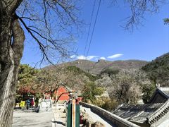 -潭柘寺景区