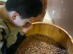 -歌斐颂巧克力小镇