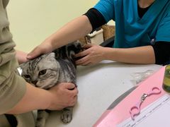 -美联众合24小时·皮肤科·外科·全科诊疗中心(华苑分院)