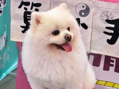 -友谊阳光城