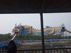 -太阳部落