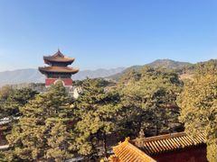 -清东陵