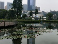 -花果园湿地公园