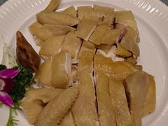 -新世纪大酒楼·30年南海菜