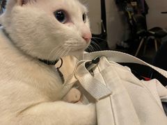 -Doors独立剧情密室(东门分店)