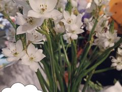 -盒马鲜生(曜一城店)