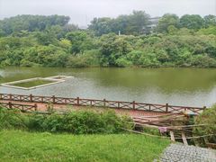 -东莞植物园