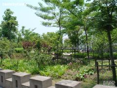 -上海市保健医疗中心(华东疗养院)