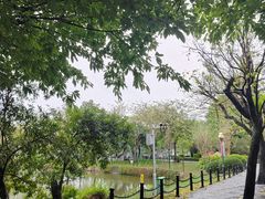 -东山湖公园