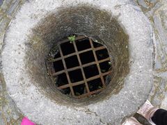 -上海佘山国家森林公园天马山园