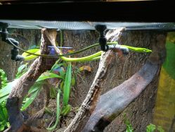 -酷嗒动物文化乐园(cutezoo西溪乐天城店)