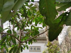 -韬光茶庵