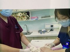 -北京观赏动物医院·24小时大型综合·猫专科·异宠专科