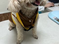 -美联众合24小时·皮肤科·外科·全科诊疗中心(华苑分院)