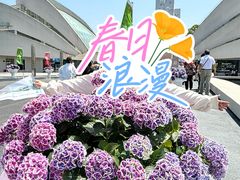 -上海鲜花港