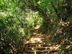 -杭州半山国家森林公园