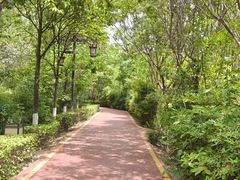 -西安汉城湖景区