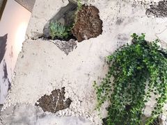 -农畉LONFOOD(福田星河COCOPark店)