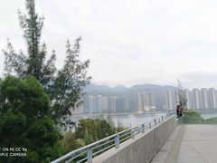 -大埔公路-马料水段香港中文大学(公交站)