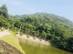 -龙头山森林公园·停车场