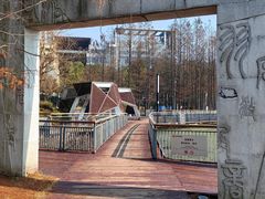 -月湖风景区