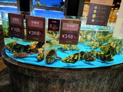 水产区-徐记海鲜(梅溪新天地店)