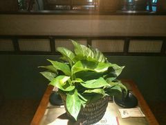 芋头-手选潮汕鲜活牛肉火锅(二七广场店)