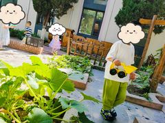 -北科婴幼学苑