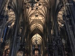 -斯蒂芬主教座堂(Stephansdom)