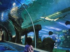 -迪卡侬(雨花店)