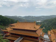 -东莞市大岭山森林公园