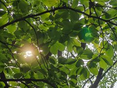 -水濂山森林公园