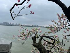 -无锡蠡湖国家湿地公园-蠡园
