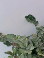 -芊冉•美甲美睫纹绣