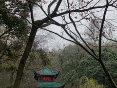 -岳麓山风景名胜区