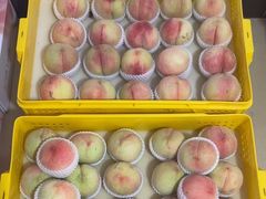 -老袁家蜜桃农场·阳山水蜜桃