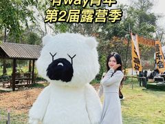 -南宁良凤江国家森林公园