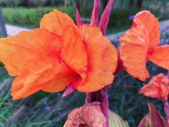 -昆山城市生态森林公园