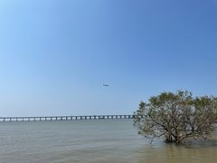 -宝安西湾红树林湿地公园