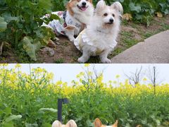 -下渚湖·湿地公园