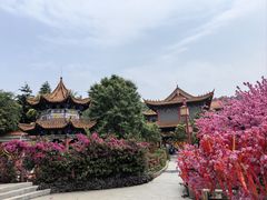 -东莞观音山旅游风景区