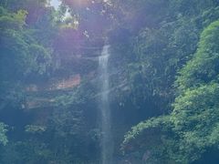 -沐川竹海旅游景区
