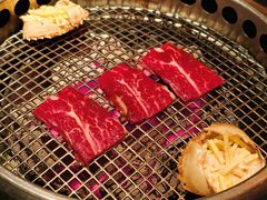 -300杯·和牛烧肉清酒专门店(廊里店)