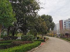 -洪湖悦兮半岛国际温泉度假村