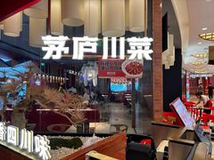 -茅庐毛血旺(烟台大悦城店)