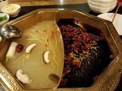 -蜀九香火锅(彩虹店)