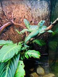 -酷嗒动物文化乐园(cutezoo西溪乐天城店)