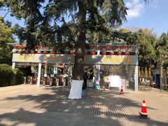 -昆明动物园