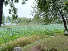 -玄武湖景区-情侣园游乐场