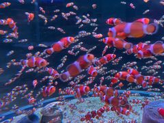 -海合安成都极地海洋公园